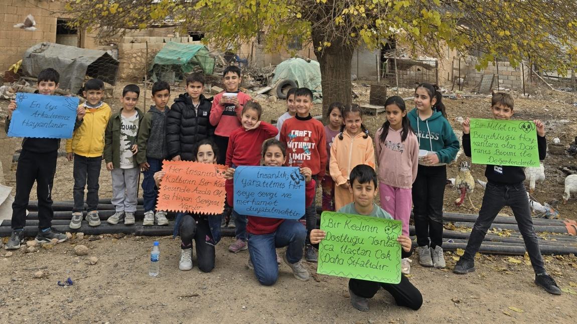 Sosyal Sorumluluk Projesi Kapsamında Okulumuzda Çevre Koruma Kulübü Olarak Çalışmalar Yapıldı.